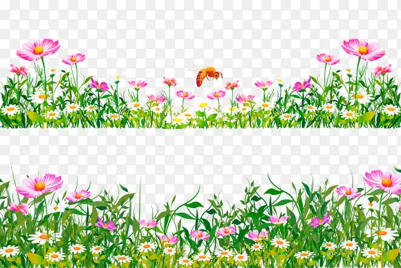 �����ݲ�ͼƬ-������