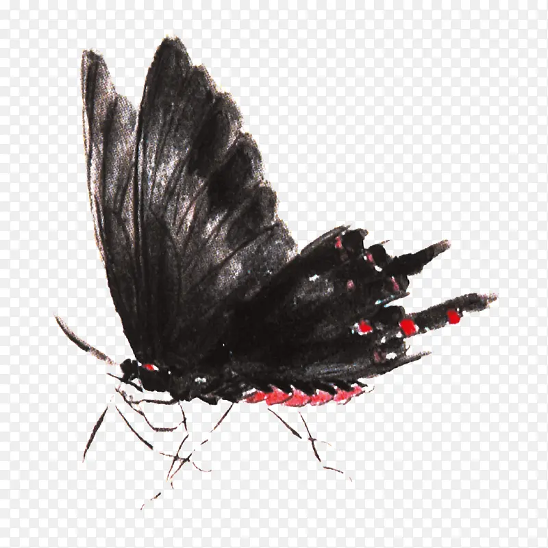 װ��ͼ�� ����-������