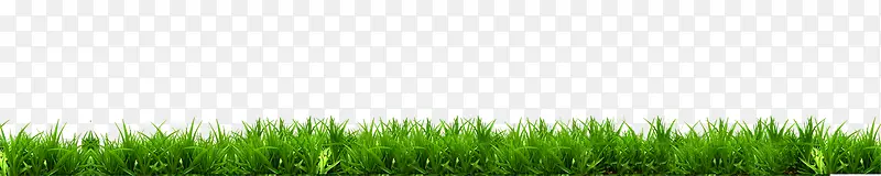 �ݴ�-������