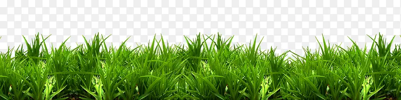 �ݵ�-������