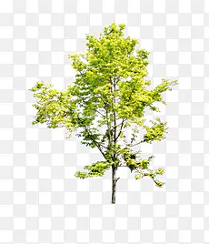 ��-������