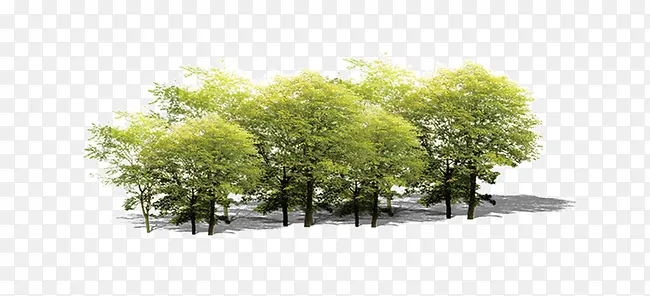 ��-������