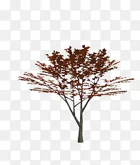 ��-������