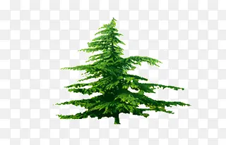 ��-������