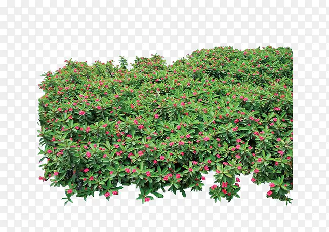 ��-������