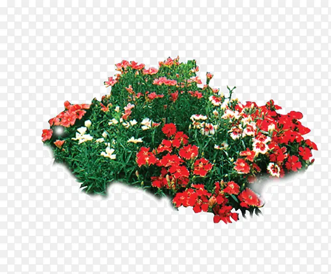 ����-������