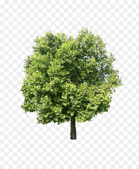 ��-������