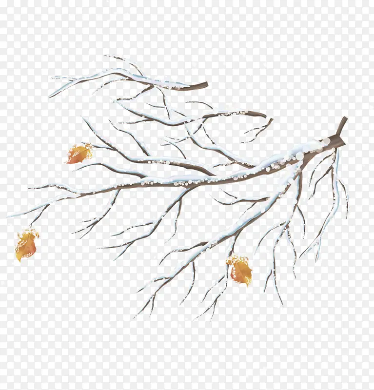 �ֻ�ѩ֦��֦��Ҷ-������