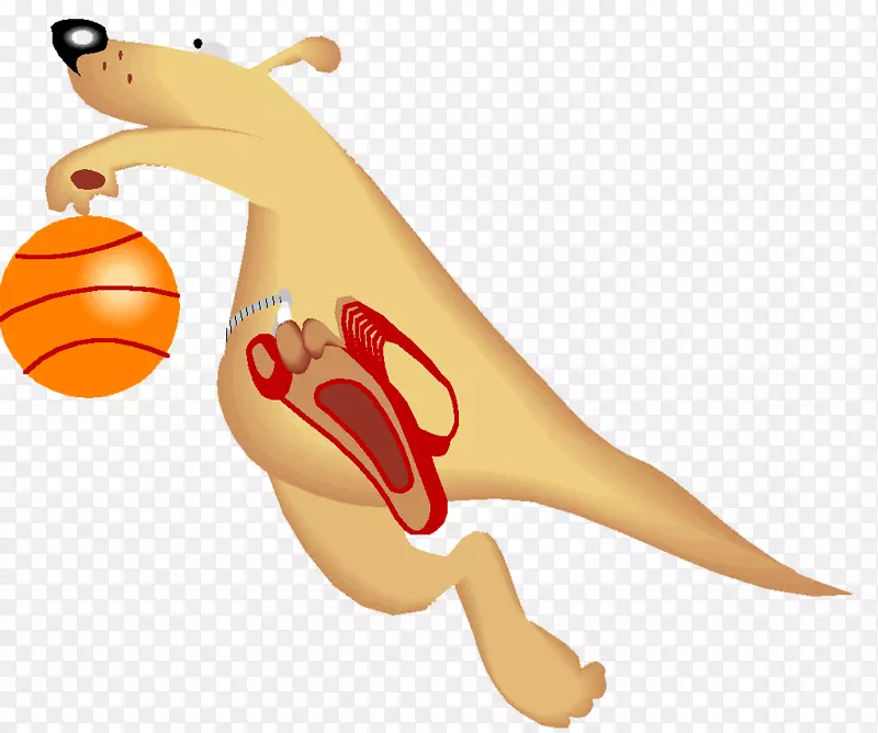 �������������-⨺���-������