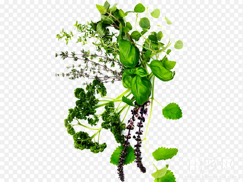 ��ѩ������ͭǮ��-������