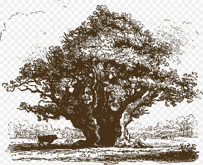 �곤������-������