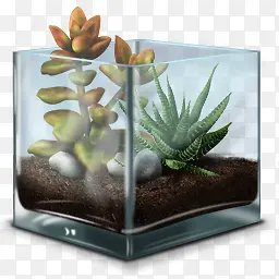 ��֭�Ĳ�������ͼ��-������