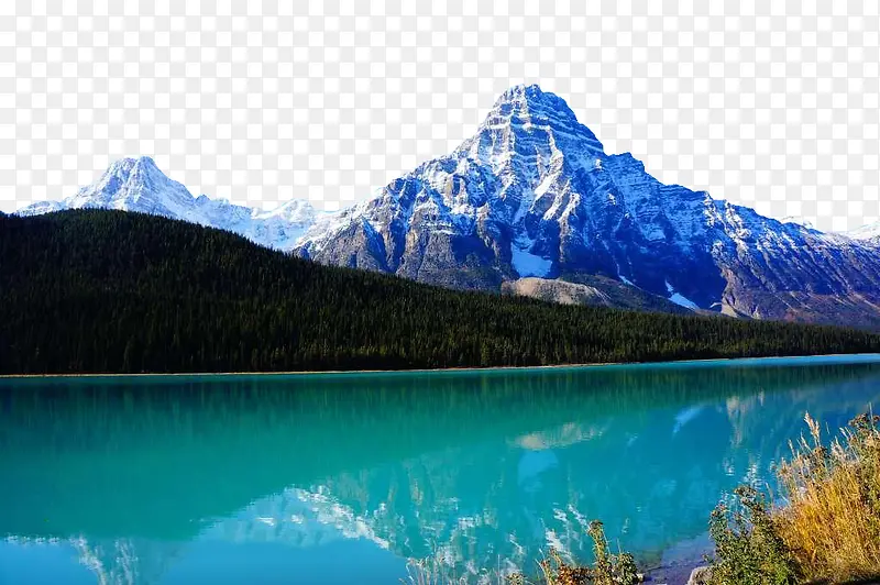 ���ɽ��������Ӱ-������