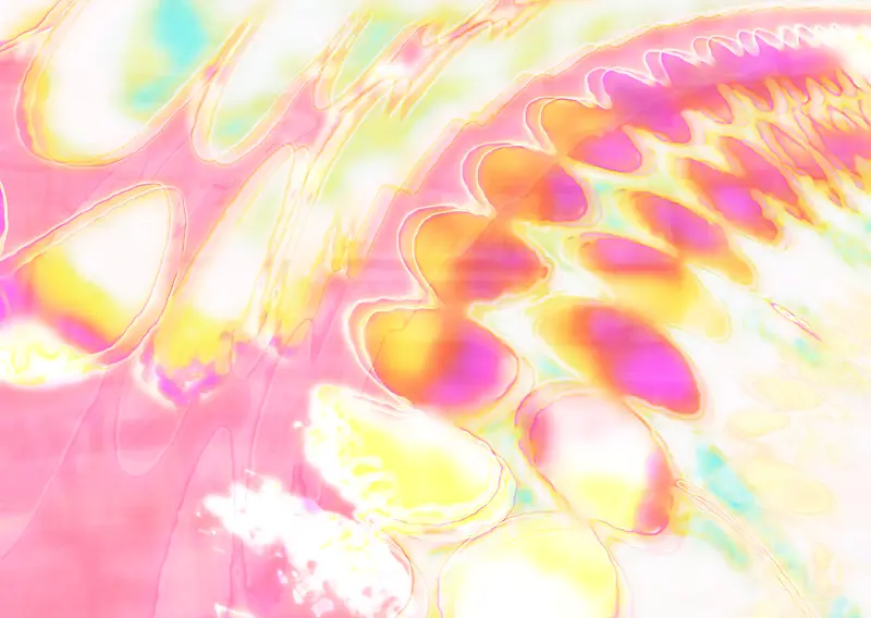 ����Ƽ�����169-������