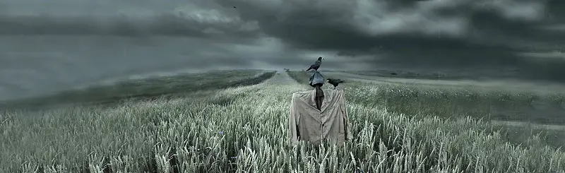 ��ɫ�������ﱳ��banner-������