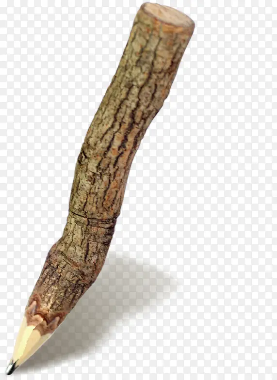 ��������֦���ⶬ��-������