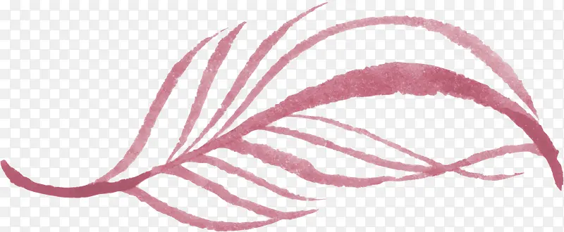 Ψ��ɭϵˮ��ֲ����ë�ز�-������