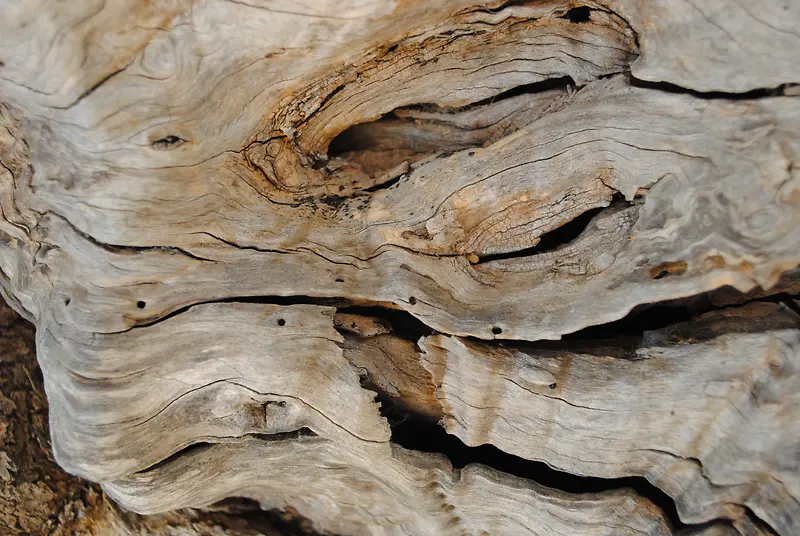 ���ɱ�������-������