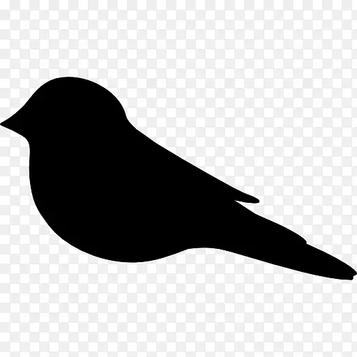 ��ӭ����ͼ��-������