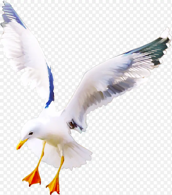 ��ͨ����ͼƬ����ز� ��Ÿ-������