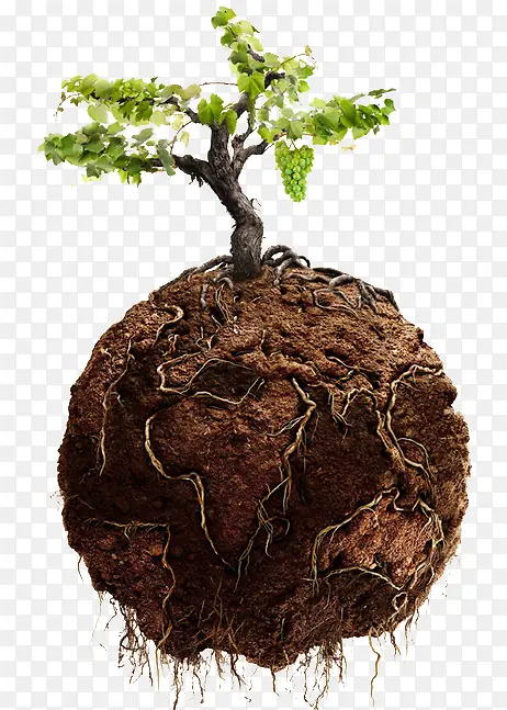 ������-������