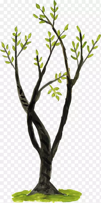 ��֦-Ϳѻ-������