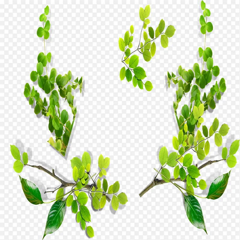 �������֦-������