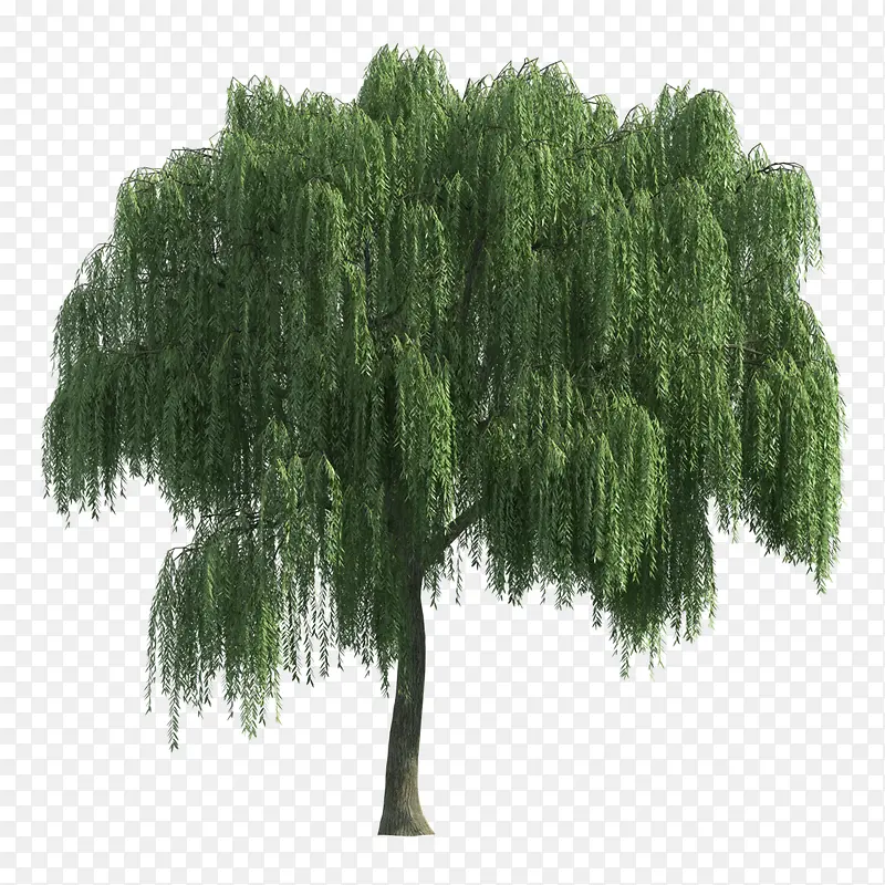 ��ɫ������-������