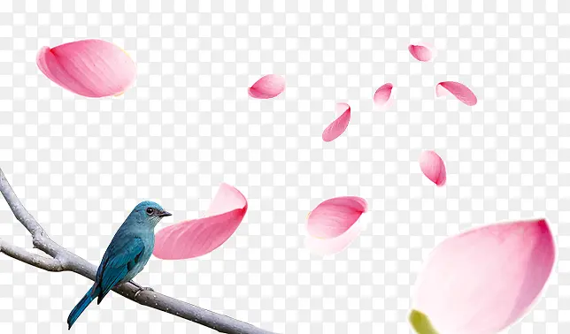 ������-������