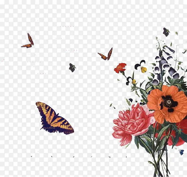 ��������-������