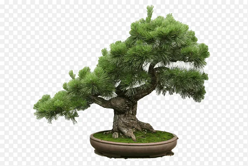 �辰-������