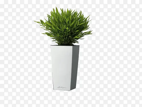 ��ɫ����-������