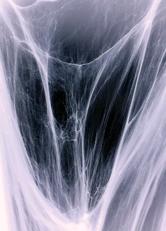 ϸ˿����-������