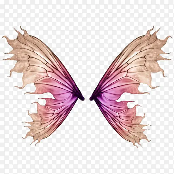 ��������-������