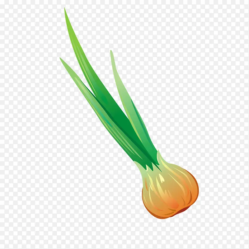 �߲�ʳ�Ĵ������-������