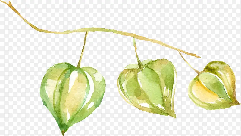 ��ɫˮ�ʻ���|��Ҷ13-������