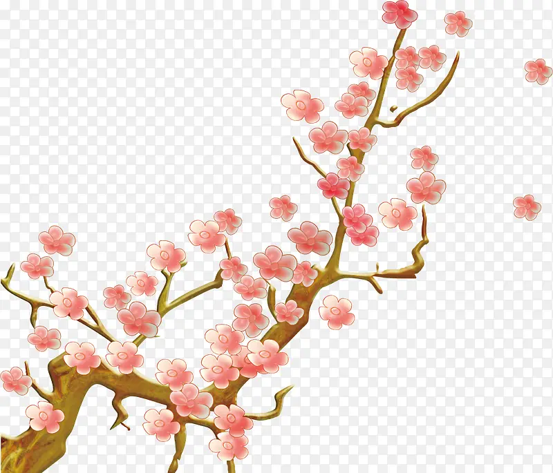 ��÷��֦-������