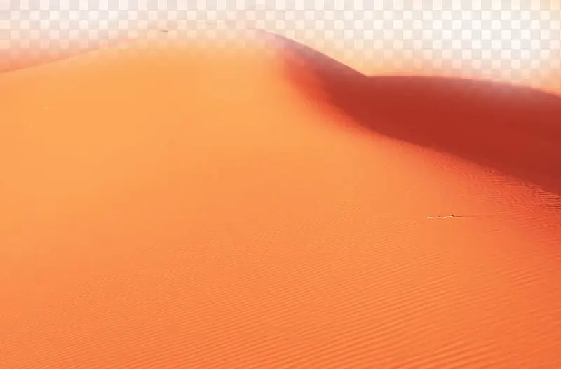 ɳ��������Ӱ-������