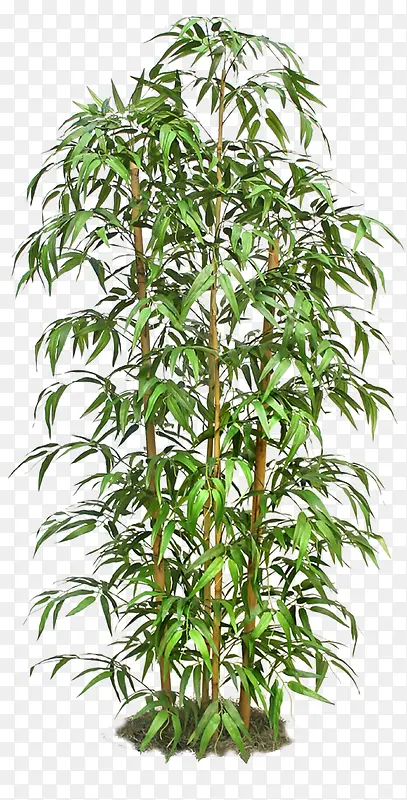 ��-������