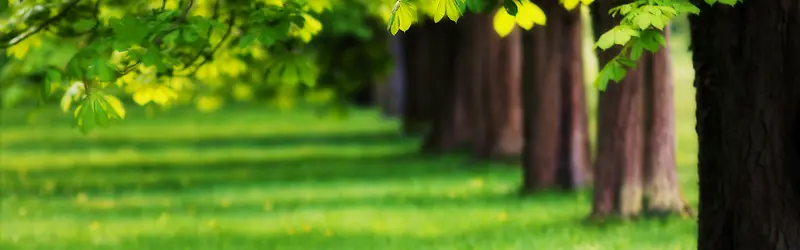 ����Ψ��������������-������