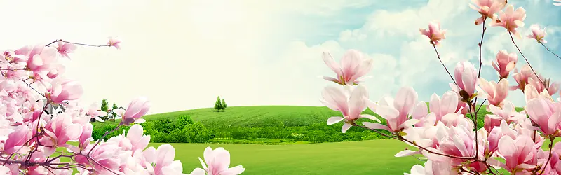 Ψ��ʢ����������������-������