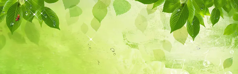 ��ˬ������ɫҶ�Ӻ�������-������