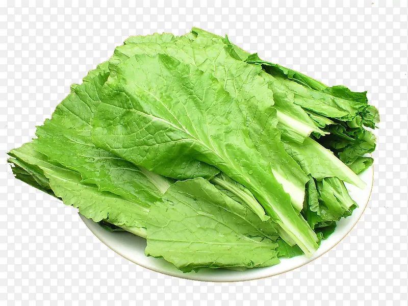 С�ײ�ʳ��-������