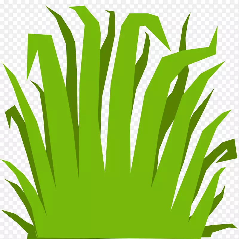 ����ӳ������������ά�����ͼ��.������-������