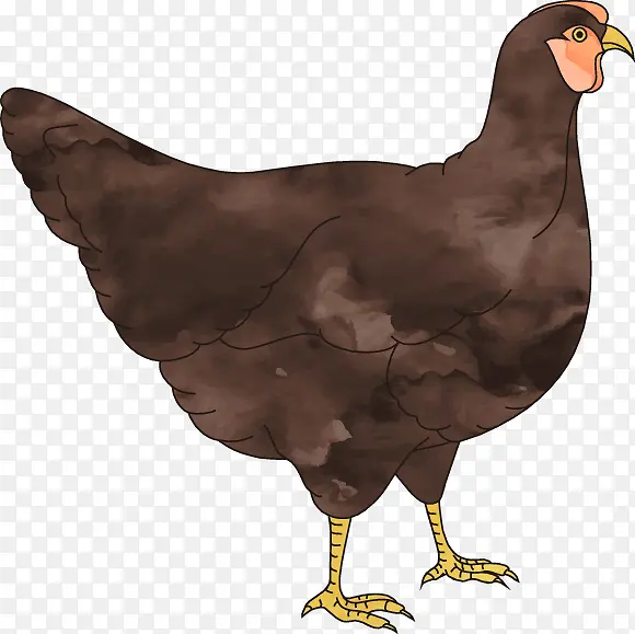 ��ˮ�ʻ�ʸ��-������