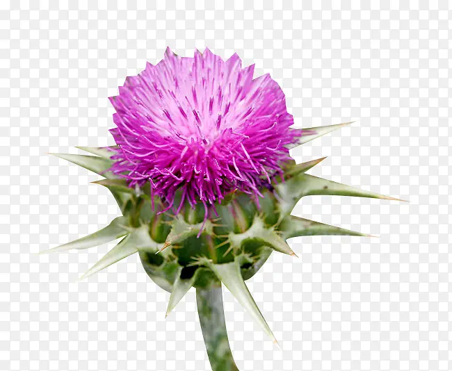 �������̼���ͼƬ�ز�-������