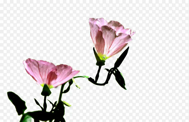 ���õ��¼���ͼƬ�ز�-������