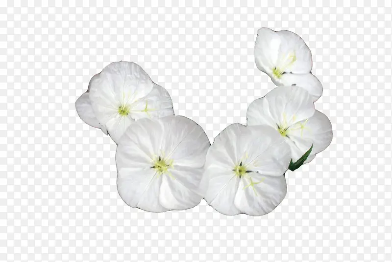 ���¼���ͼƬ�ز�-������