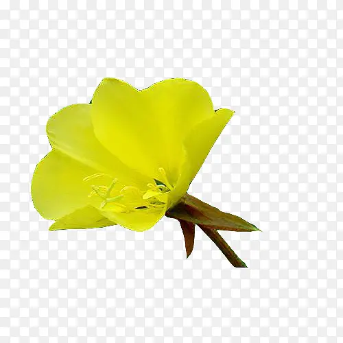 һ���ɫ�¼���ͼƬ�ز�-������