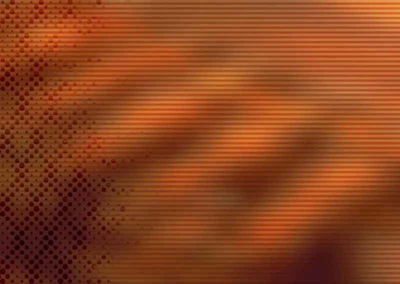 IT�����ز�141-������